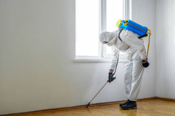 Best Mosquito Control Services  in Alliae, NC
