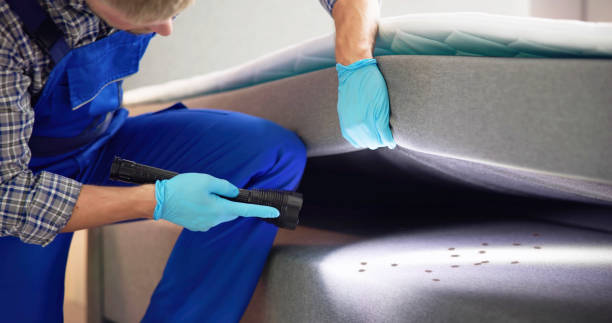 Best Exterminator Services  in Alliae, NC