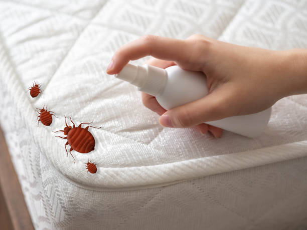 Best Pest Control Near Me  in Alliae, NC