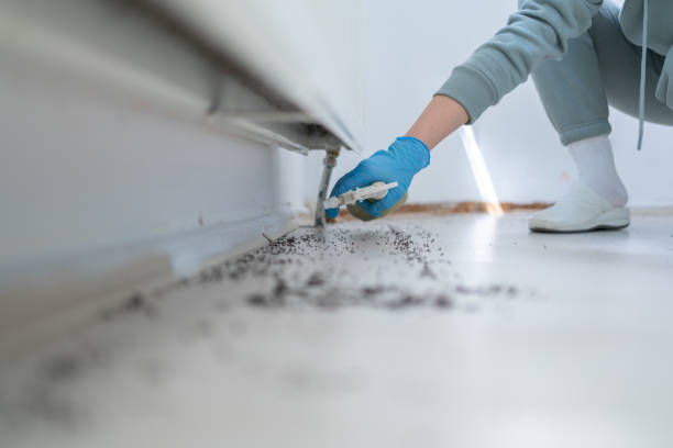 Best Residential Pest Control  in Alliae, NC